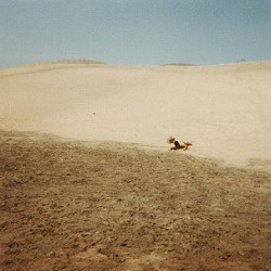 desierto